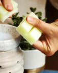 Electric Candle/Fragrance Warmers various Styles - vivahabitat.com