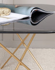 Venture Home Tristar Coffee Table - Brushed Brass / Black glass Marble - vivahabitat.com