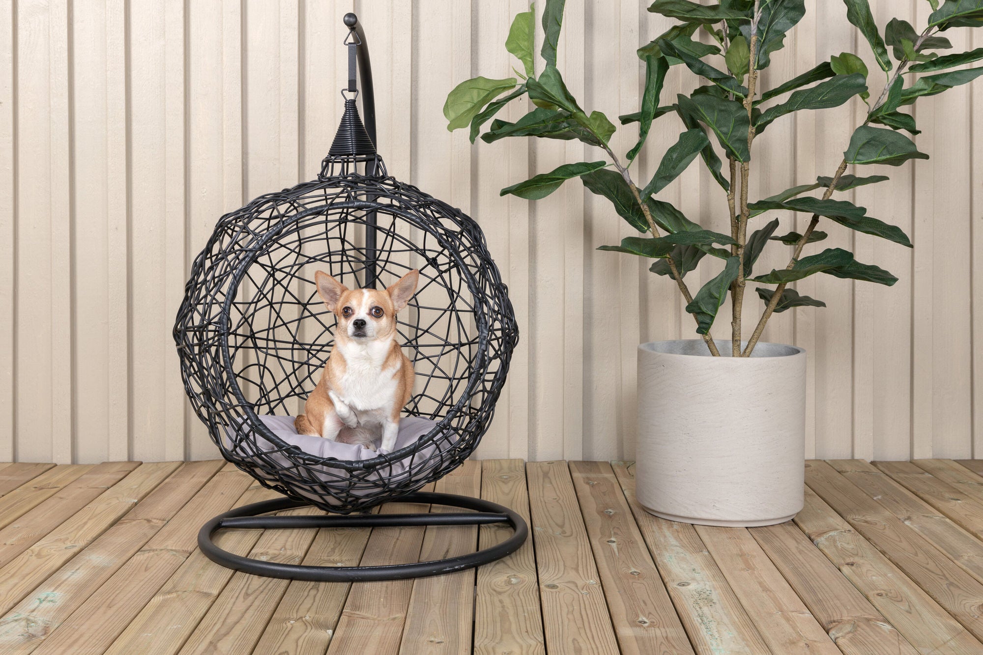 Venture Home Lexi Hanging chair- Black frame/black wicker/grey cushion - vivahabitat.com