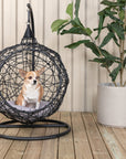 Venture Home Lexi Hanging chair- Black frame/black wicker/grey cushion - vivahabitat.com