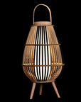 Bamboo Floor  Lamp - vivahabitat.com