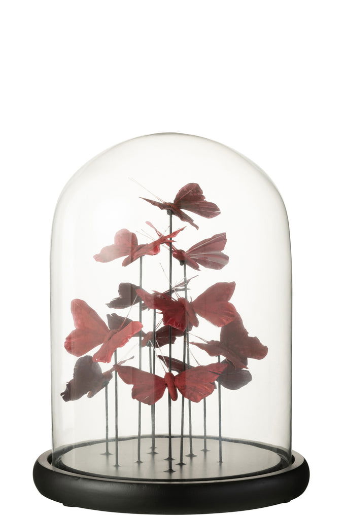 Bell Jar Butterflies Glass Red/Bordeaux Large - vivahabitat.com