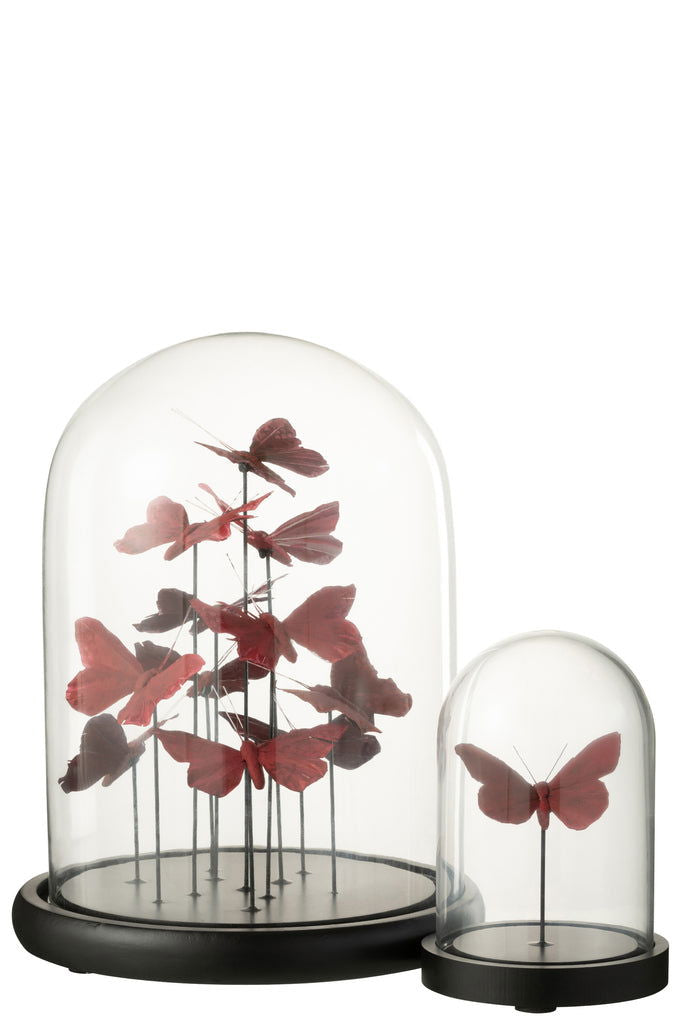 Bell Jar Butterflies Glass Red/Bordeaux Large - vivahabitat.com