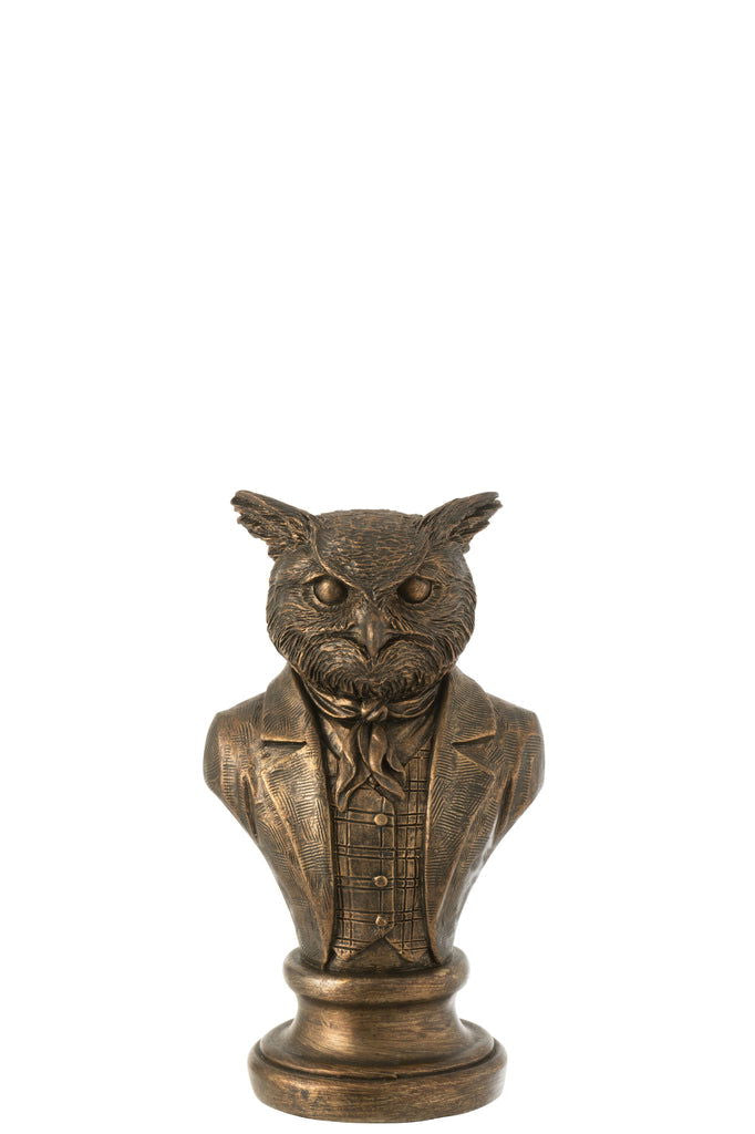 Bust Owl Poly Bronze Small - vivahabitat.com