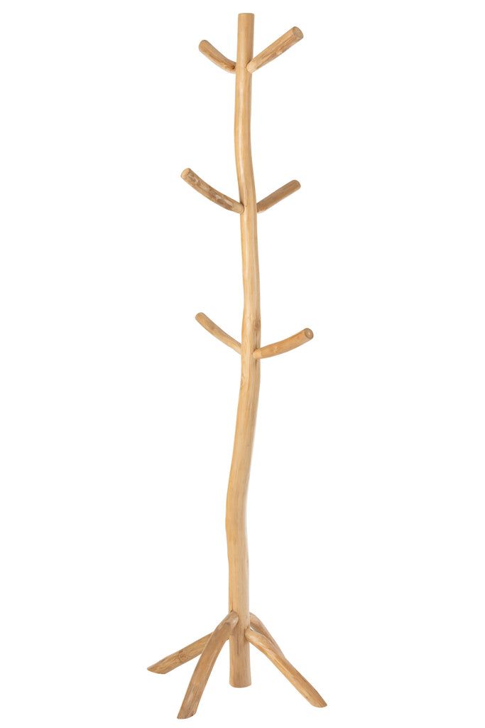 Coatrack Branches Ash Wood Natural - vivahabitat.com