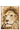 Wall Decoration Lion Wood/Glass Brown - vivahabitat.com