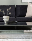Maglehem Coffee Table  - Silver Chrome / Clear glass - vivahabitat.com