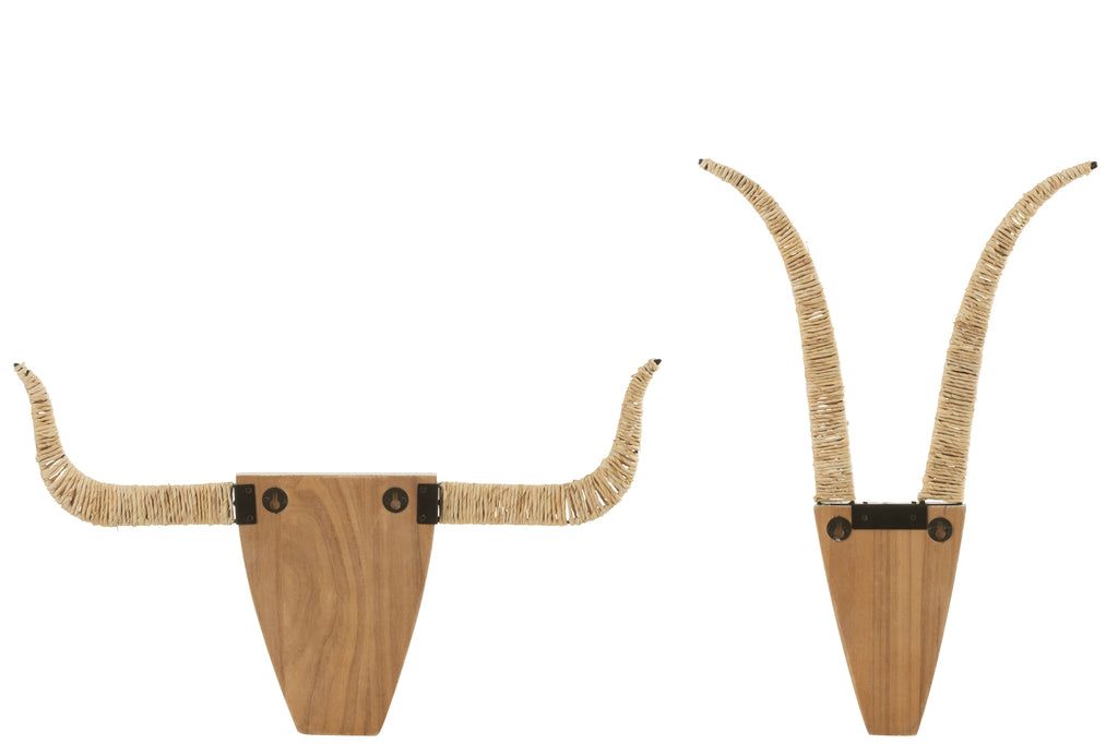 Set Of Two Wall Decoration Bull Fir Wood/Reed White/Natural - vivahabitat.com