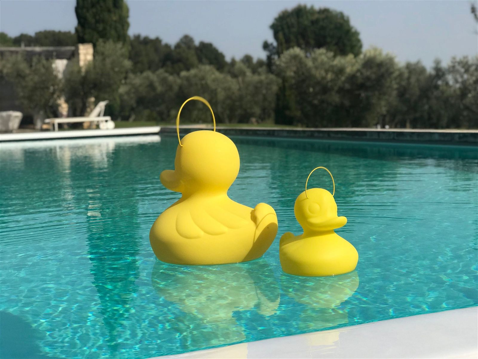 the duck duck lamp [s]™ - vivahabitat.com