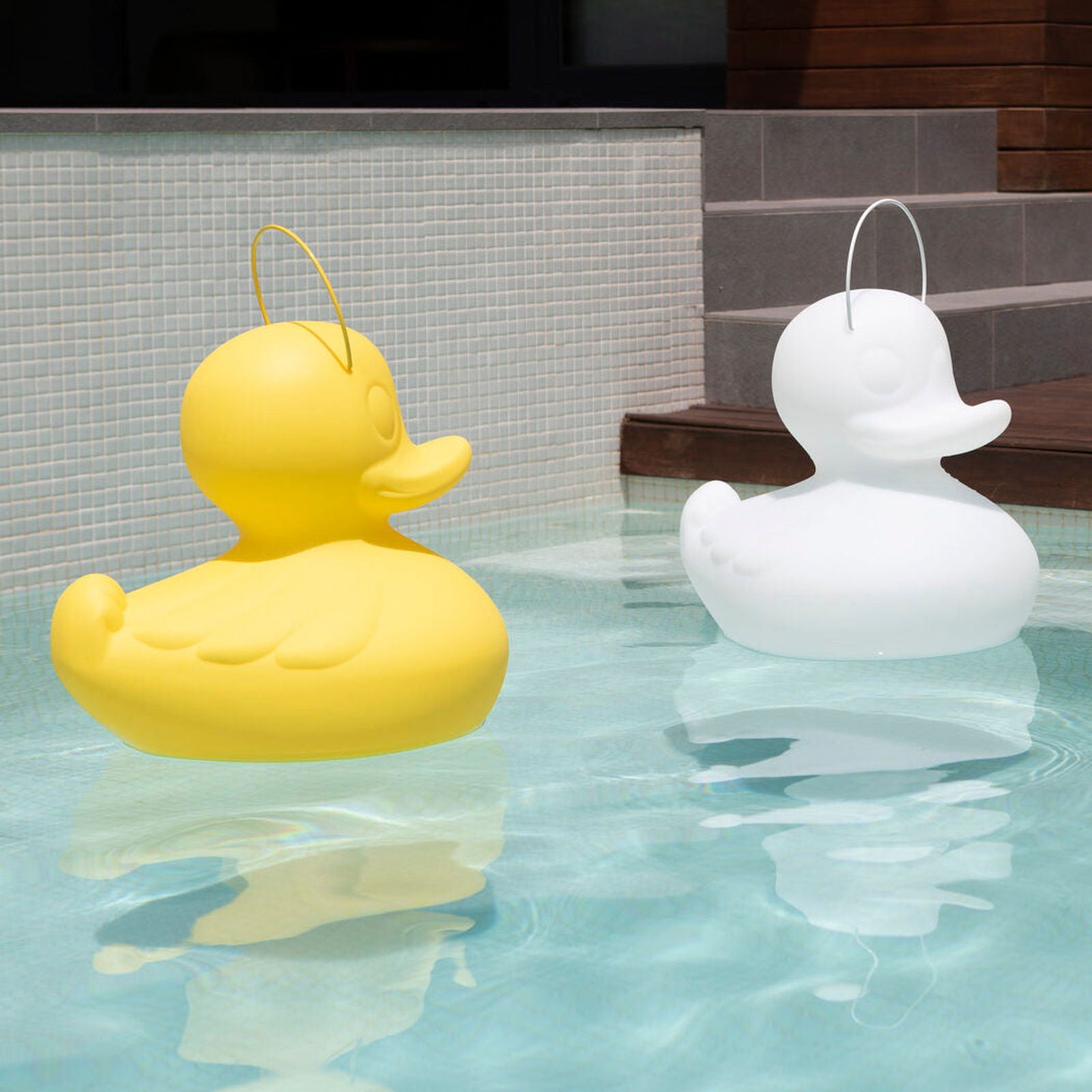 the duck duck lamp [xl]™ - vivahabitat.com